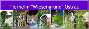 Tierheim Ostrau